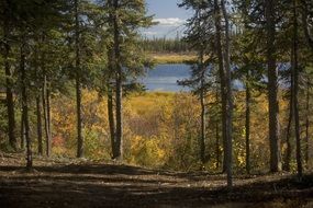 picturesque alaska landscape