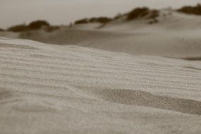 black and white photo of desert in Africa