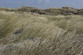 scene of sand dunes beach and dark sky