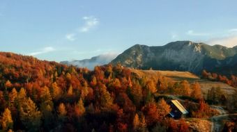 autumn forest and hut in Slovenia