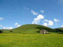 barn on green pasture