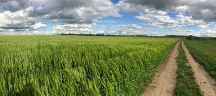 road on the green agricultural field