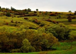 landscape of green meadows in summer in the countryside