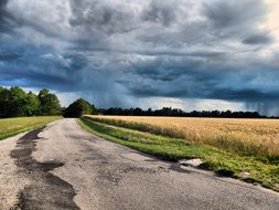 Grey and blue rain clouds above the beautiful and colorful field, summer landscape