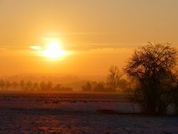 landscape of winter nature