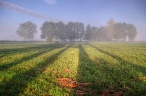 smooth shadows on a green field