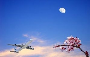 Airplane, peach branch and moon on blue sky