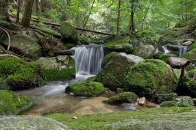 waterfall on mossy rocks in green forest