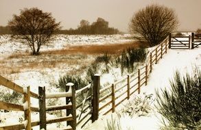 winter landscape frozen park