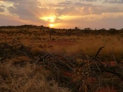 panorama of the steppe at sunrise in Australia