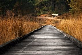 Wooden bridge between autumn grass on beautiful landscape with colorful nature in Netherlands