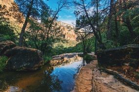 Stream and trees on a rocky background with canyon on beautiful landscape
