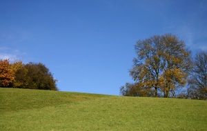 green hill with trees