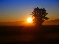 beautiful sunset on the field