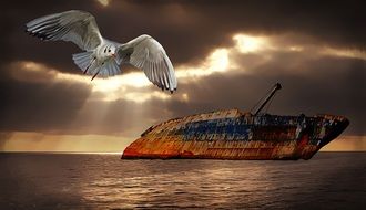 Seagull and rusty ship drawing