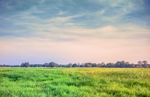 idyll landscape, green meadow