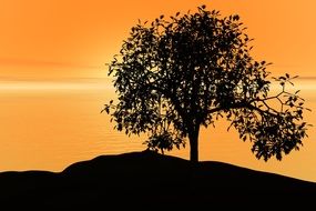 tree silhouette on orange sunset background