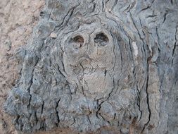 Old face on the beautiful stone in the Australia