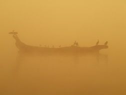 birds on a big snag on a lake on an orange foggy morning