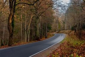 asphalt road in the countryside in Warmia