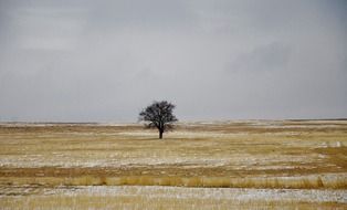 landscape of frosty day