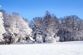 small house in a snowy winter landscape