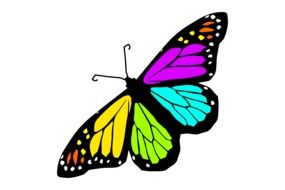 butterfly with colorful wings as a graphic image