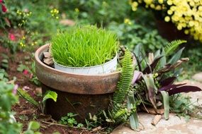 delightful grass box