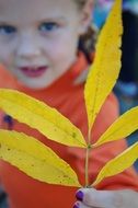 child with a yellow autumn leaf