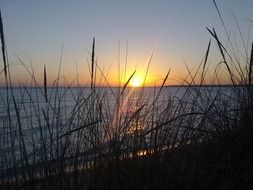sunset through the grass on the Mediterranean