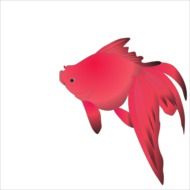 painted red fish