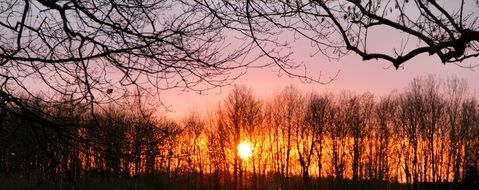 delightful mood kahl sunset