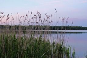 Lake in Mecklenburg Western Pomerania