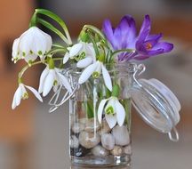 bouquet of snowdrops and crocuses
