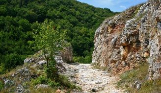 stone path among the rocks on a sunny day