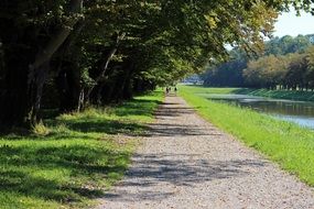 path along the trees and the pond