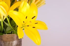 bouquet of yellow lilies in a vase