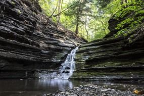 waterfall in stone pond forest view