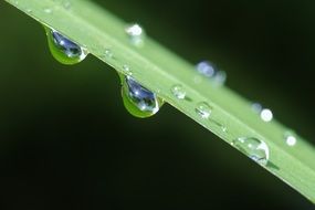 raindrop macro