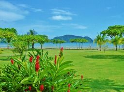 green tropical beach, costa rica