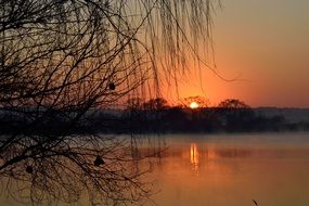 Bernardo Mascarenhas at sunset