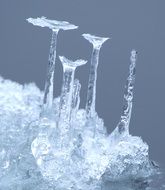 Beautiful frozen icicles