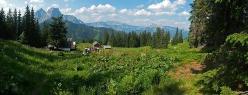 panorama of wooden houses in the Alps