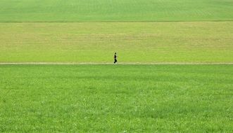 Jogging on the meadow