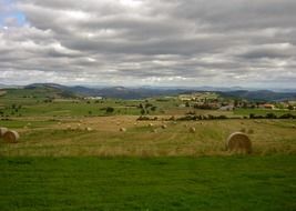 Landscape of autumn harvest field