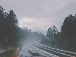 winter highway along the forest in haze