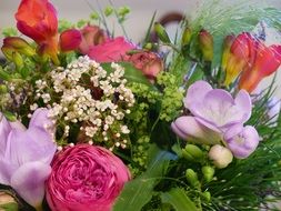 bouquet of different colorful flowers close-up