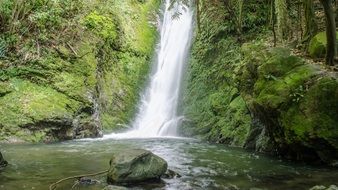 waterfall forest pond