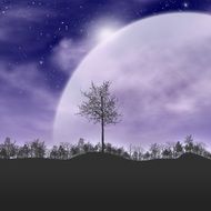 Tree on the moon background