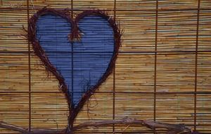 decorative blue heart on bamboo texture